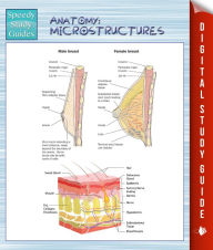 Title: Anatomy: Microstructures (Speedy Study Guides), Author: Speedy Publishing