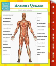 Title: Anatomy Quizzer (Speedy Study Guides), Author: Speedy Publishing