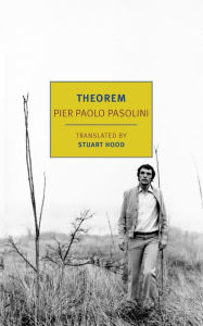 Ebook for gate exam free download Theorem by Pier Paolo Pasolini, Stuart Hood 9781681377643 in English 