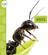 Title: Ants, Author: Kevin D. Hoover