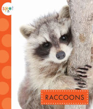 Title: Raccoons, Author: Marysa Storm