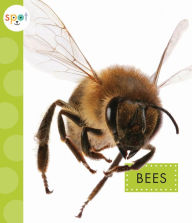 Title: Bees, Author: Nessa Black