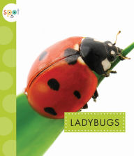 Title: Ladybugs, Author: Nessa Black