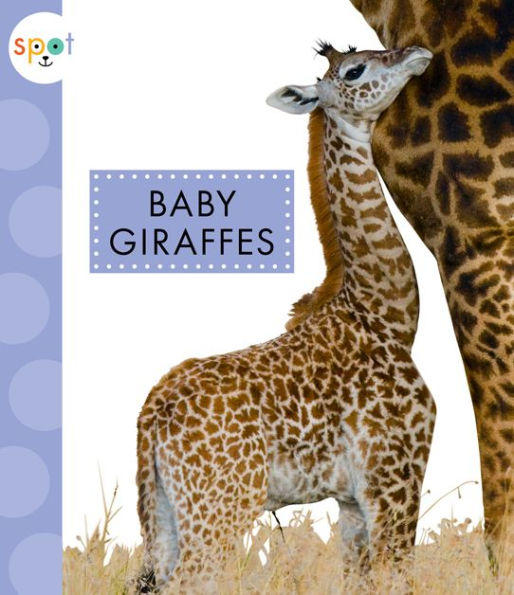 Baby Giraffes