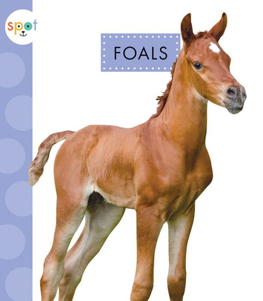 Foals