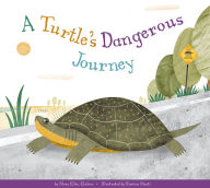 Title: A Turtle's Dangerous Journey, Author: Mary Ellen Klukow