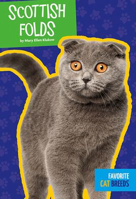 Scottish Folds