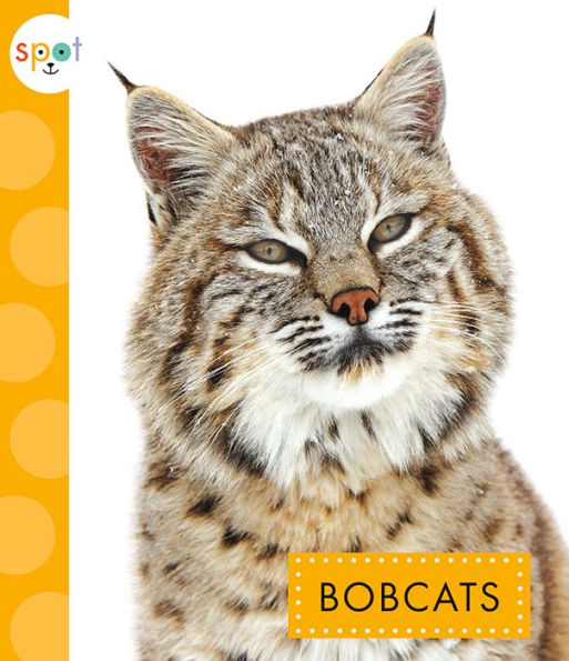 Bobcats