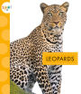 Leopards