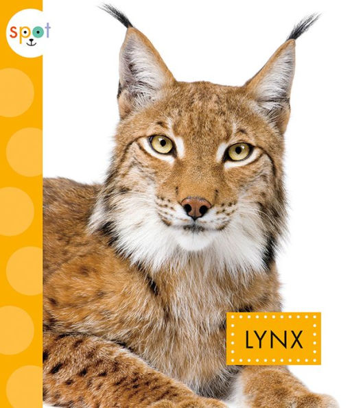 Lynx