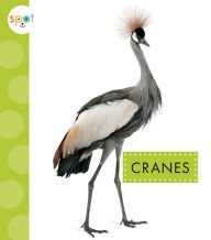 Title: Cranes, Author: Jessica Amstutz