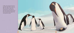 Alternative view 2 of Emperor Penguins: A Migration Story