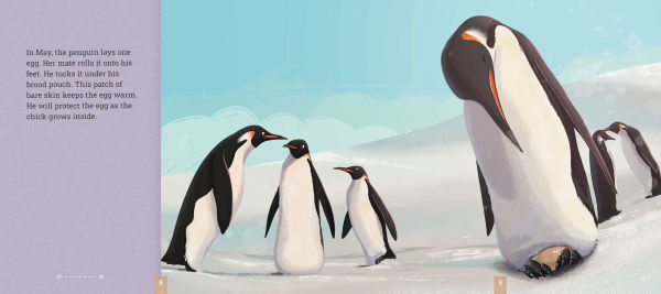 Emperor Penguins: A Migration Story