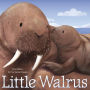 Little Walrus