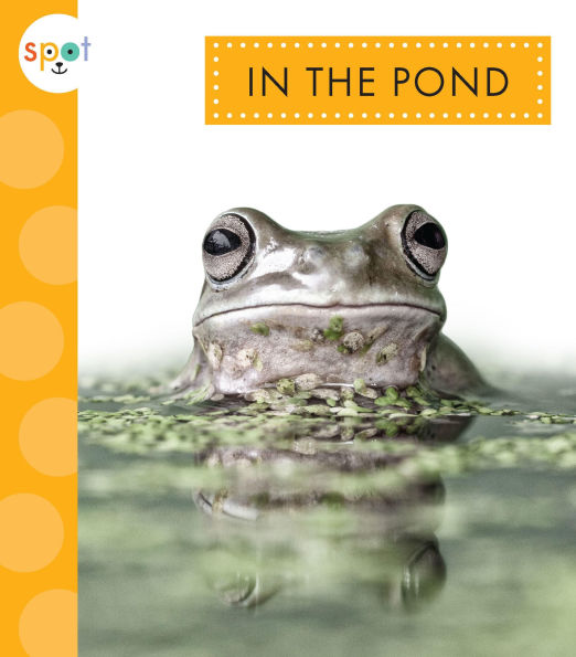 the Pond