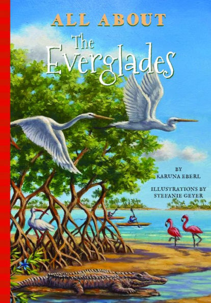 All About the Everglades