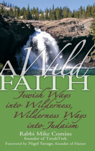 Title: A Wild Faith: Jewish Ways into Wilderness, Wilderness Ways into Judaism, Author: Mike Comins