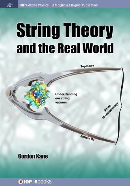 String Theory and the Real World / Edition 1