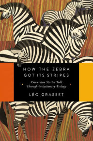 Title: How the Zebra Got Its Stripes, Author: Lïo Grasset