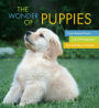 The Wonder of Puppies