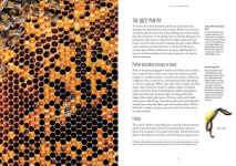 Alternative view 4 of Beekeeping: Everything You Need to Know to Start your First Beehive