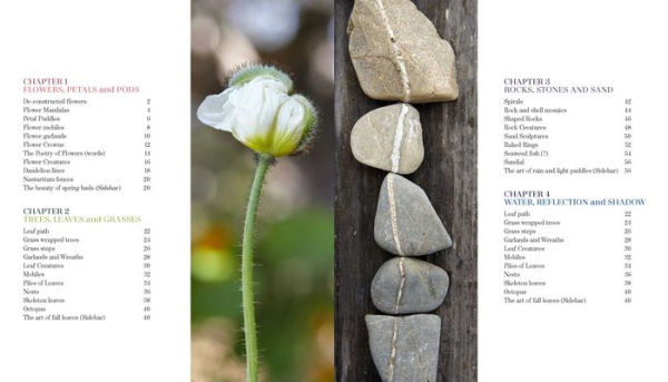 Foraged Art: Creating Projects Using Blooms, Branches, Leaves, Stones, and Other Elements Discovered in Nature