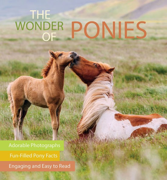The Wonder of Ponies