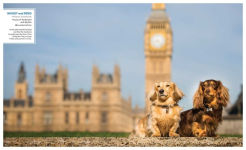 Alternative view 11 of Canines of London (Dog Photography, Dog Lovers Gift)