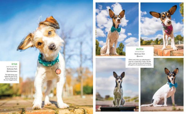 Canines of London (Dog Photography, Dog Lovers Gift)