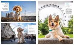 Alternative view 13 of Canines of London (Dog Photography, Dog Lovers Gift)
