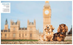 Alternative view 17 of Canines of London (Dog Photography, Dog Lovers Gift)