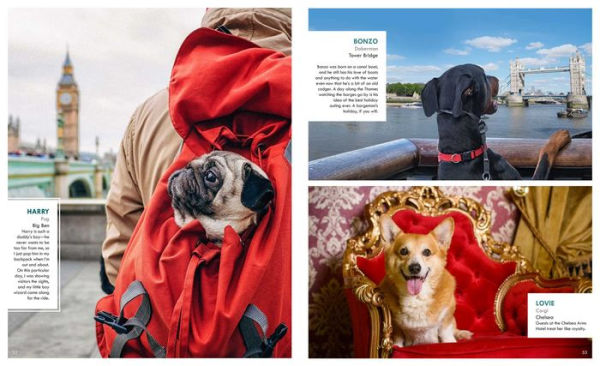 Canines of London (Dog Photography, Dog Lovers Gift)