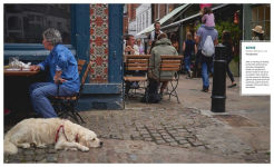 Alternative view 3 of Canines of London (Dog Photography, Dog Lovers Gift)