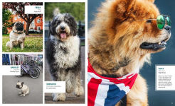 Alternative view 4 of Canines of London (Dog Photography, Dog Lovers Gift)