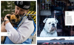 Alternative view 5 of Canines of London (Dog Photography, Dog Lovers Gift)