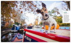 Alternative view 6 of Canines of London (Dog Photography, Dog Lovers Gift)