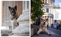Alternative view 8 of Canines of London (Dog Photography, Dog Lovers Gift)
