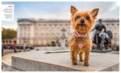 Alternative view 10 of Canines of London (Dog Photography, Dog Lovers Gift)