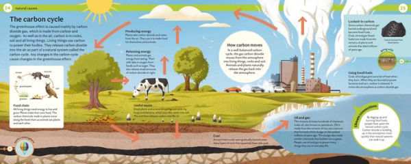 How do we stop climate change?: Mind Mappers: Making Difficult Subjects Easy to Understand