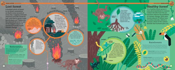 How do we stop climate change?: Mind Mappers: Making Difficult Subjects Easy to Understand