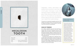 Alternative view 19 of Relics: A History of the World Told in 133 Objects