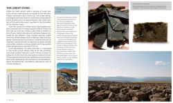 Alternative view 6 of Relics: A History of the World Told in 133 Objects