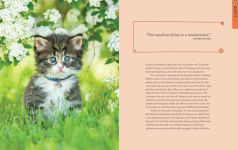 Alternative view 5 of The Total Cat Manual: 2020 Paperback Gifts For Cat Lovers Pet Owners Adopt-A-Pet Endorsed
