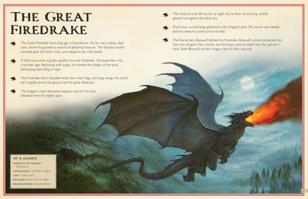 The Magnificent Book of Dragons