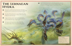 Alternative view 5 of The Magnificent Book of Dragons