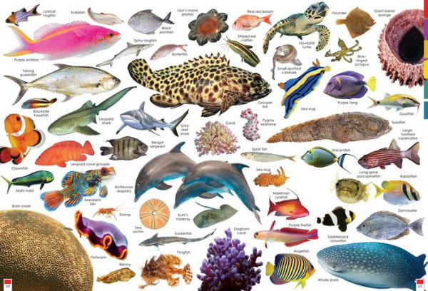 Habitats and the Animals Who Live in Them: With stickers and activities to make family learning fun