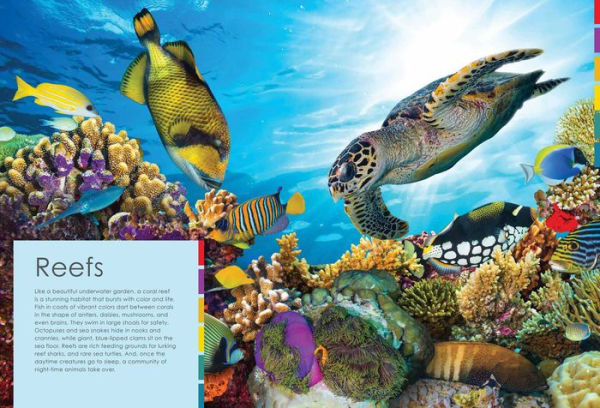 Habitats and the Animals Who Live in Them: With stickers and activities to make family learning fun