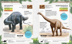 Alternative view 4 of Dinosaurs: A Spotter's Guide