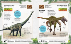 Alternative view 5 of Dinosaurs: A Spotter's Guide