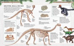 Alternative view 6 of Dinosaurs: A Spotter's Guide